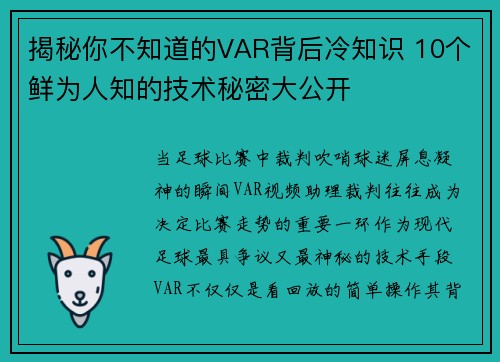 揭秘你不知道的VAR背后冷知识 10个鲜为人知的技术秘密大公开